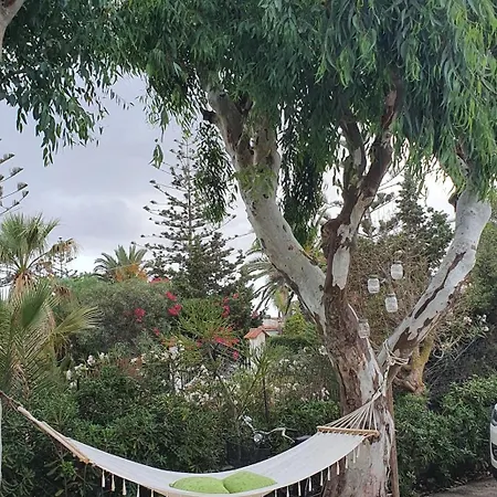 Clarissa A San Lorenzo Holiday home *